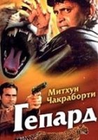 Гепард / Cheetah