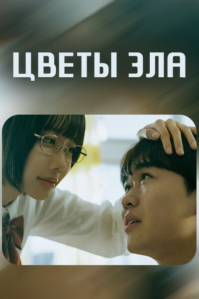 Цветы зла / The Flowers of Evil / Aku no Hana